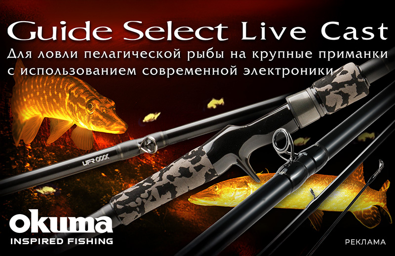 Баннер Okuma Guide Select Live 